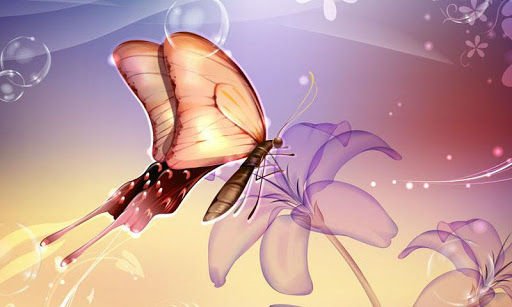 Butterfly Theme截图4