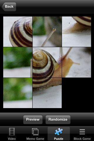 Snails Race截图5