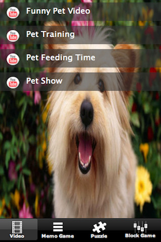 Pet Story截图1