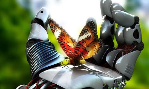 Butterfly Theme截图2