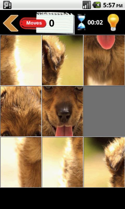 puppies puzzle截图2