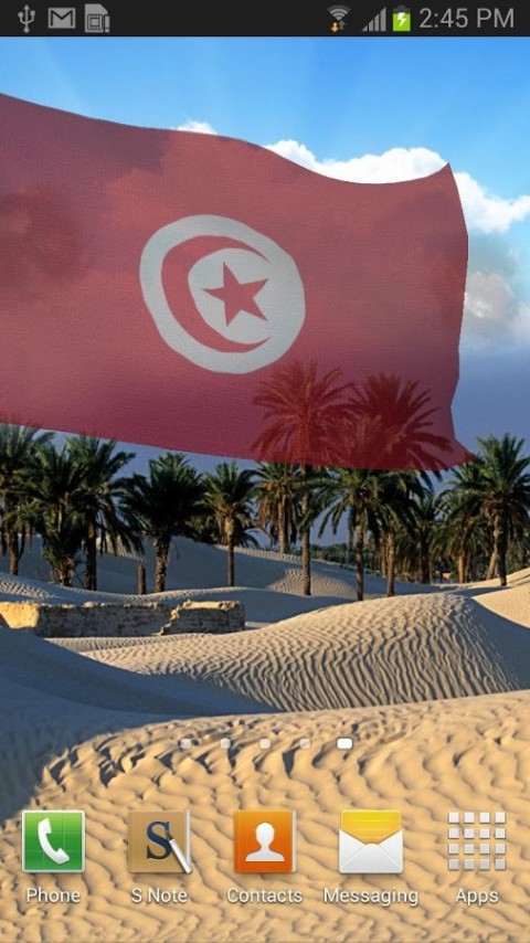 3d Tunisia Flag截图1