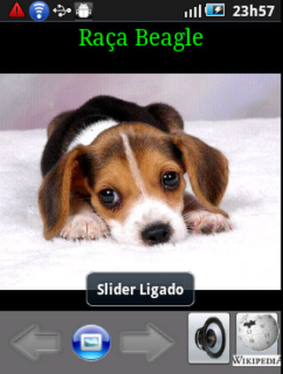 Cachorros Beagle截图4