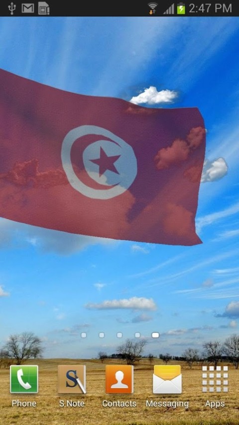 3d Tunisia Flag截图6