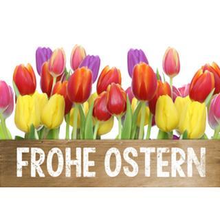 Osterspr&uuml;che 2014 sch&ouml;ne...截图1