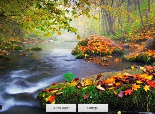 Live autumn Falling leaves截图1