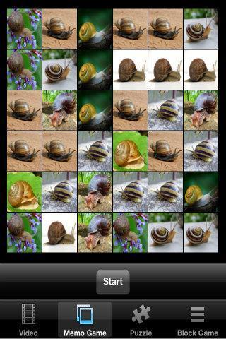 Snails Race截图3