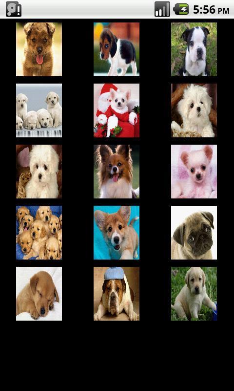 puppies puzzle截图1