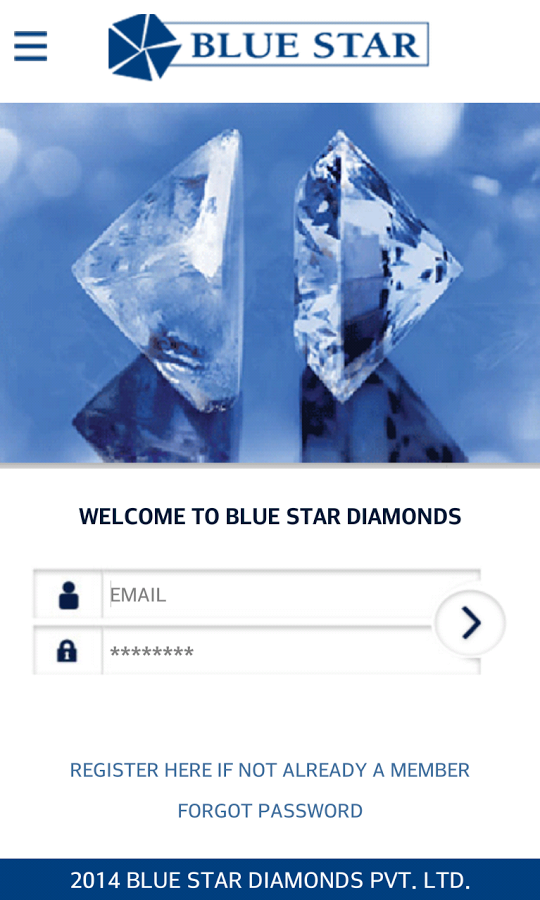 BLUE STAR DIAMONDS截图3