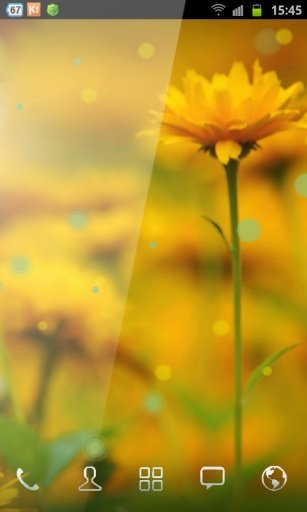 Free Wallpaper Flowers截图2