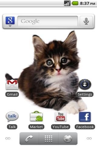 Little Cat Live Wallpaper截图1