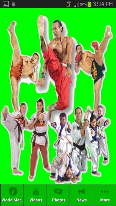 World Martial Arts截图1