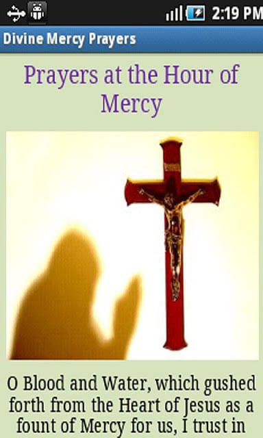 Divine Mercy Prayers截图3