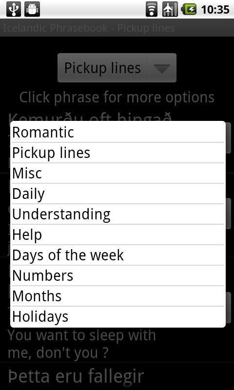 Icelandic Lite Phrasebook截图3