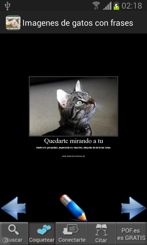 Imagenes de gatos con frases截图1