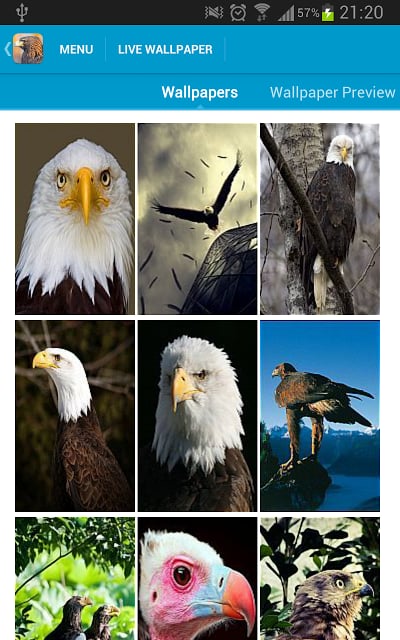 Eagles Wallpapers截图7