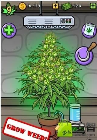 Pot Farm: Grass Roots截图3