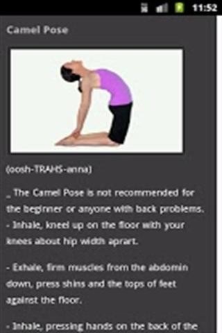 瑜伽减掉脂肪 Lose Fat Through Yoga截图2