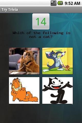 Cats Trivia截图2