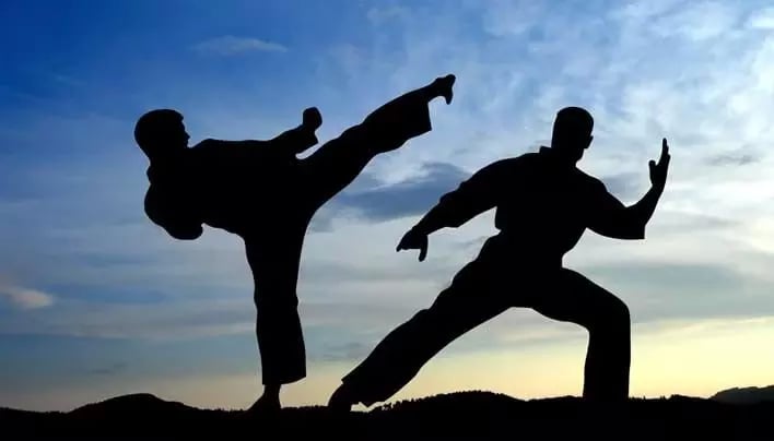 Martial Arts Training截图3