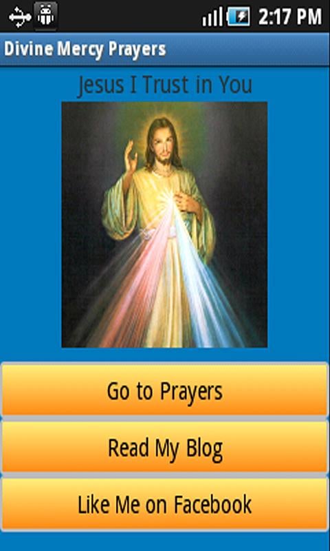 Divine Mercy Prayers截图2