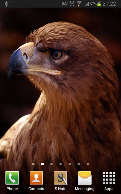 Eagles Wallpapers截图2