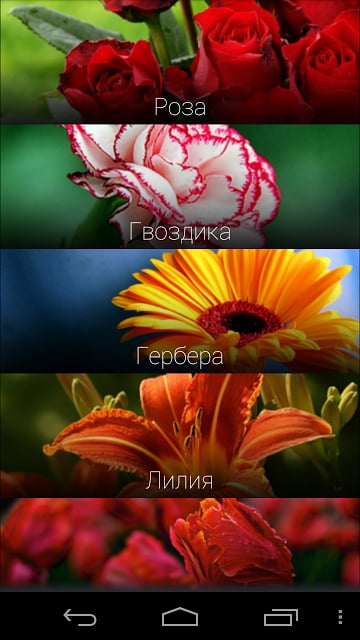 Flowers截图5