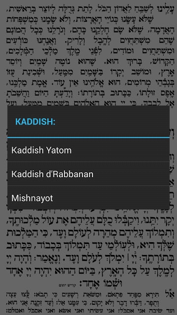 Siddur Tehillat Hashem截图9