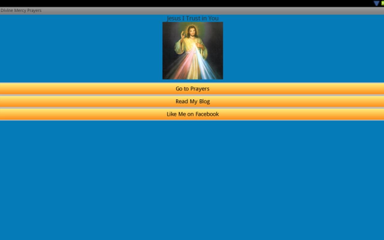 Divine Mercy Prayers截图1