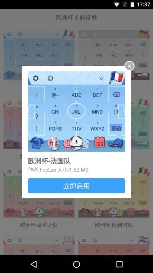 欧洲杯皮肤截图2