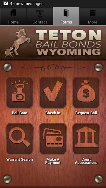 Wyoming Bail截图3