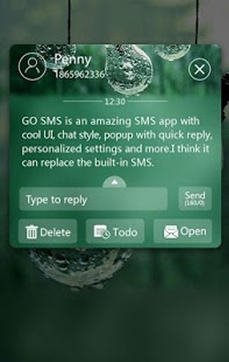 GO SMS PRO RAINY THEME截图1