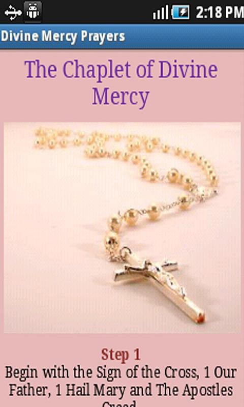 Divine Mercy Prayers截图11