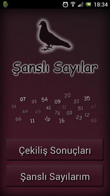 Şanslı Sayılar截图1