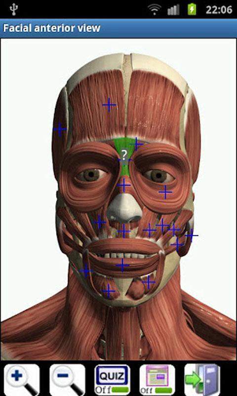 虚拟人体解剖截图4