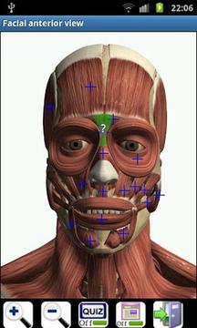 虚拟人体解剖截图