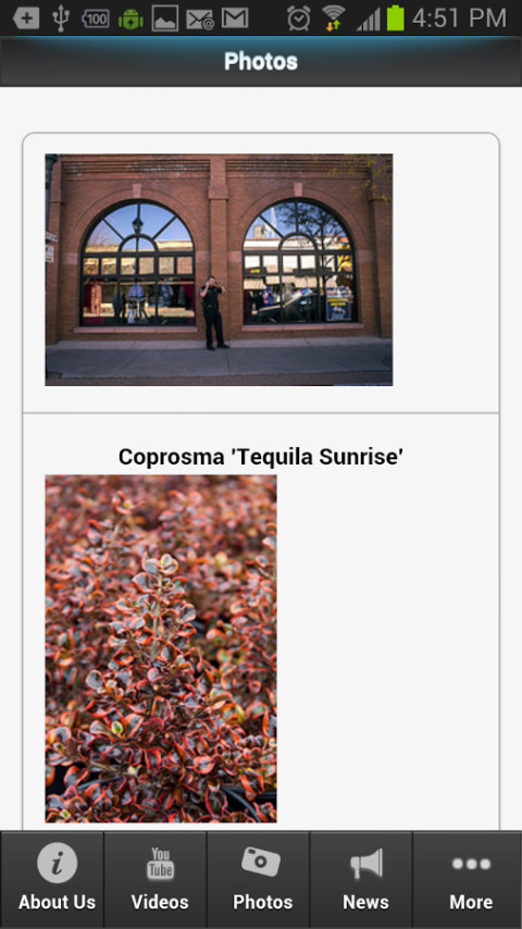 Tequila Sunrise截图4