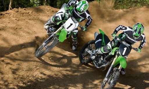 Dirt Bike Racer截图2