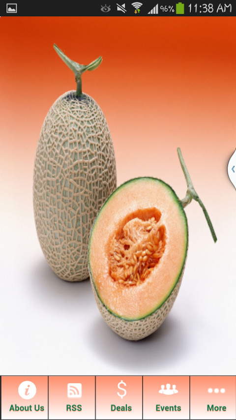 Recipe Melon For You截图1