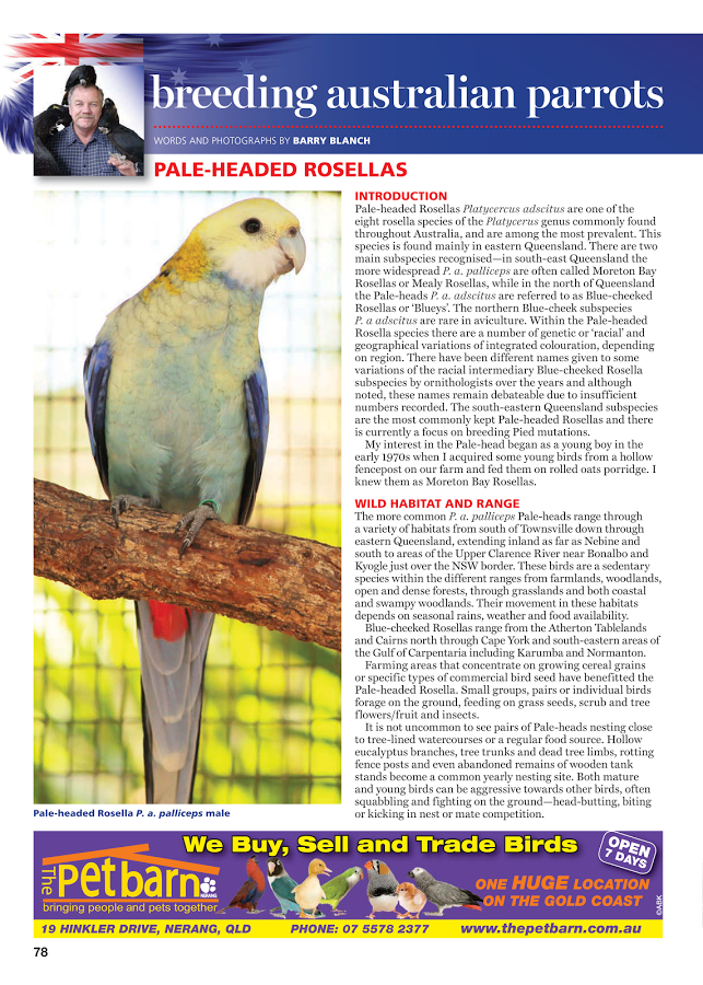 Australian Birdkeeper Magazine截图6