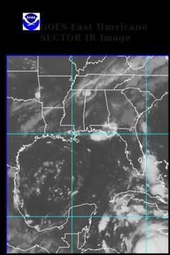 Hurricane Satellite截图
