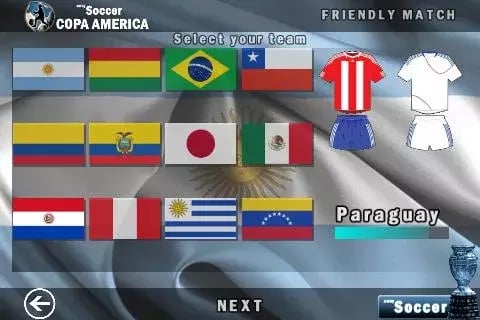 easySoccer Copa America截图1