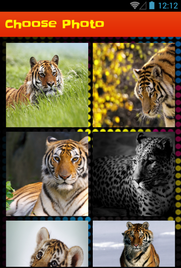 Tiger Slide Puzzle Game截图6