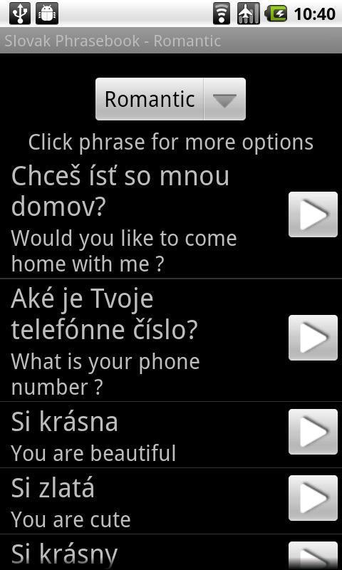 Slovak Lite Phrasebook截图1