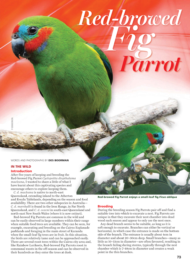 Australian Birdkeeper Magazine截图5