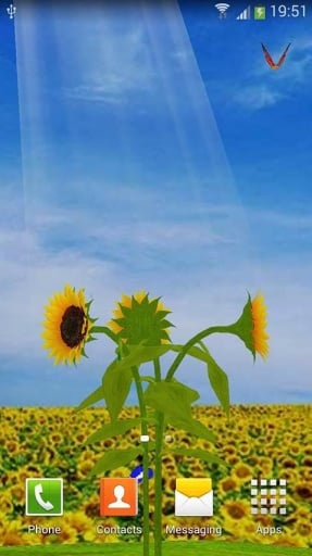 Sunflower - 3D Garden截图2