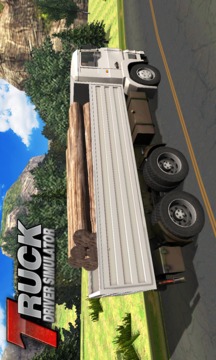 Truck Driver Simulator截图