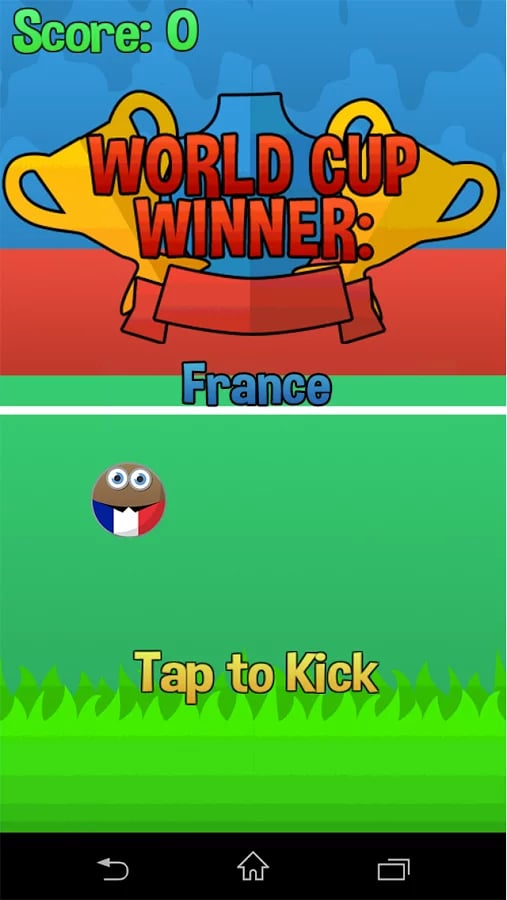 Flappy Cup Winner France截图1