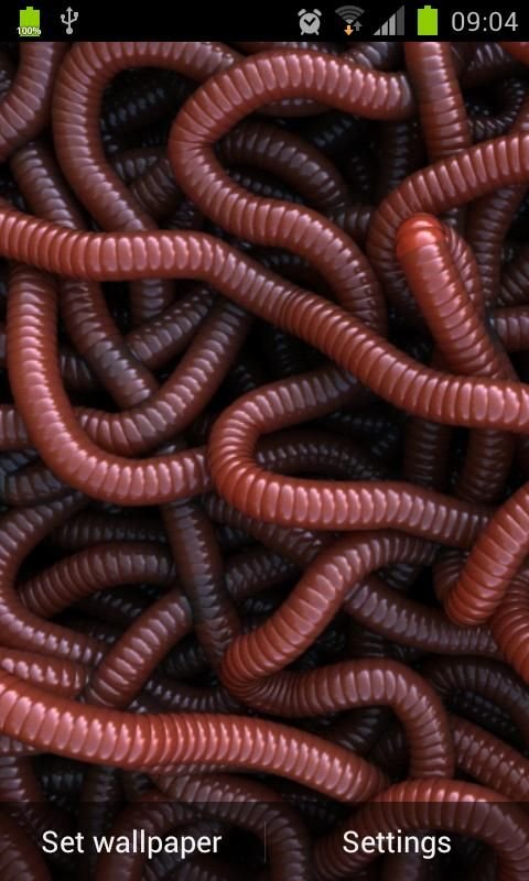 Can of Worms Live Wallpaper截图1