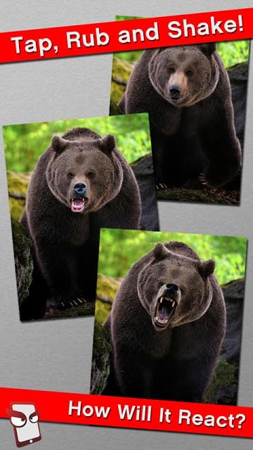 Angry Bear Free!截图3